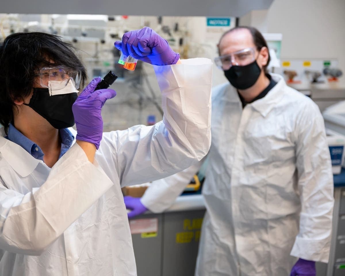 Researchers examining a sample in a research laboratory